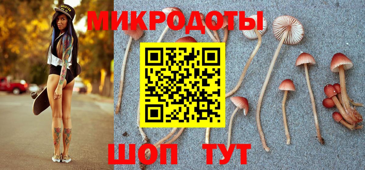 Галлюциногенные грибы прущие грибы Кольчугино