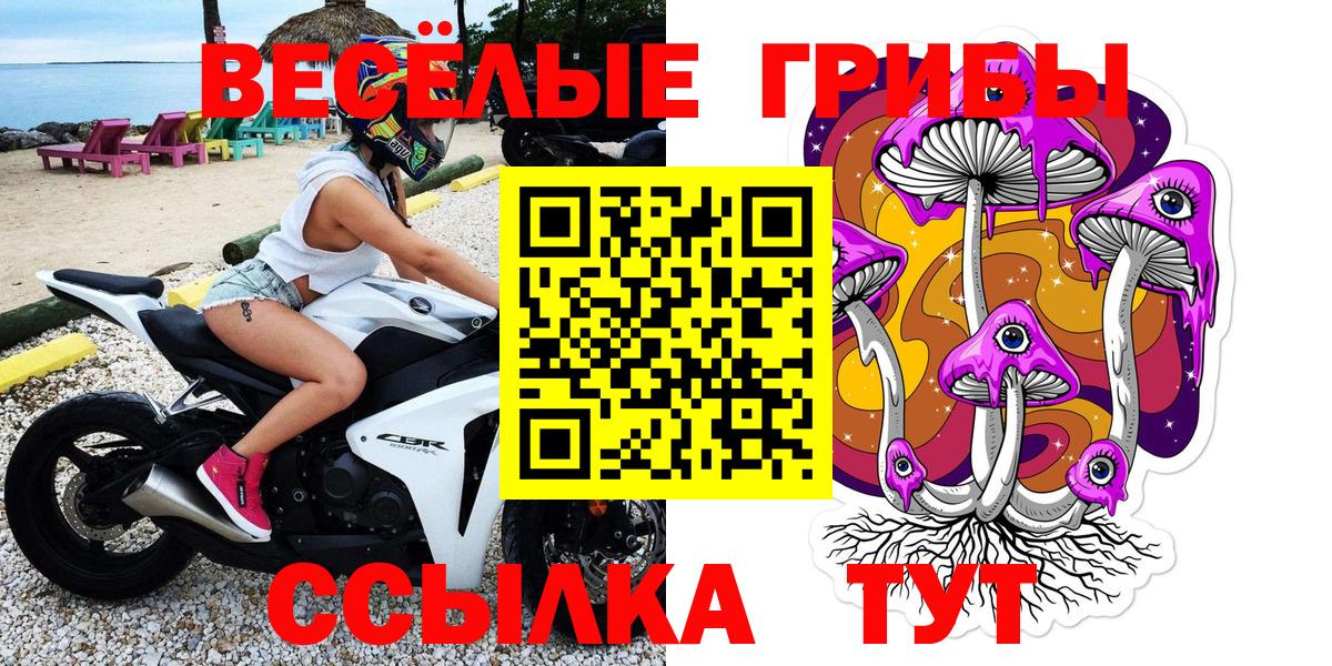 Псилоцибиновые грибы Psilocybine cubensis  Вход с VPN  Кольчугино 